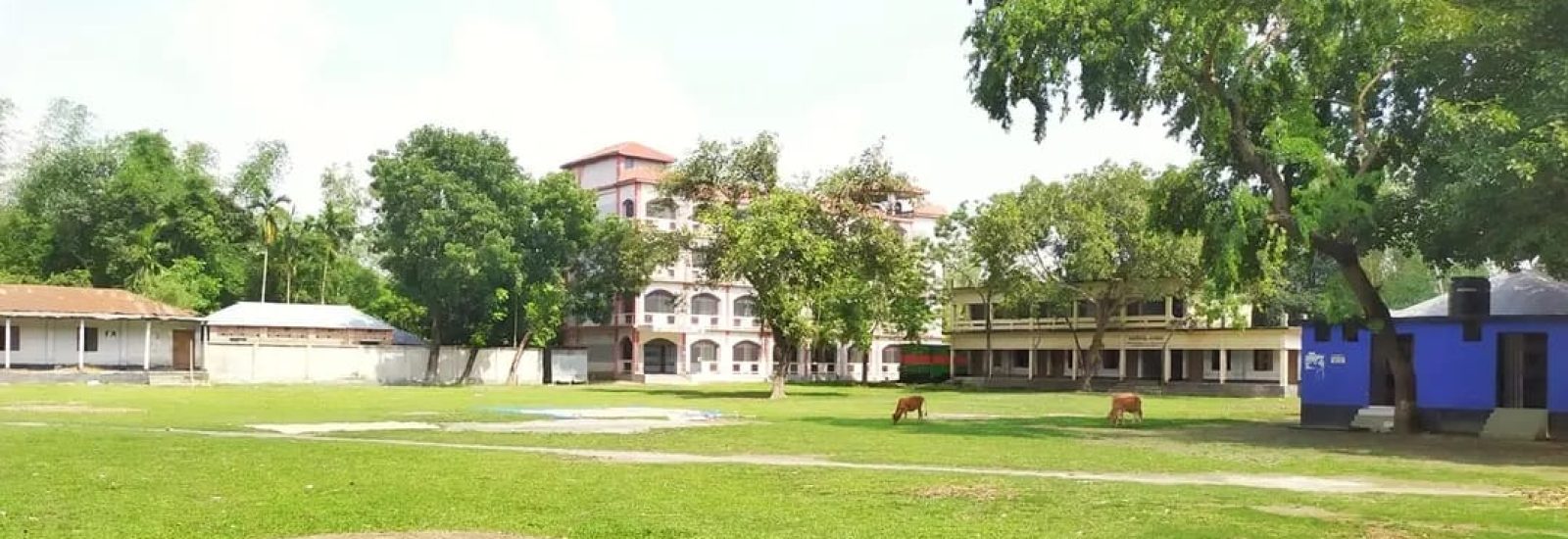 Ranachandi school & college